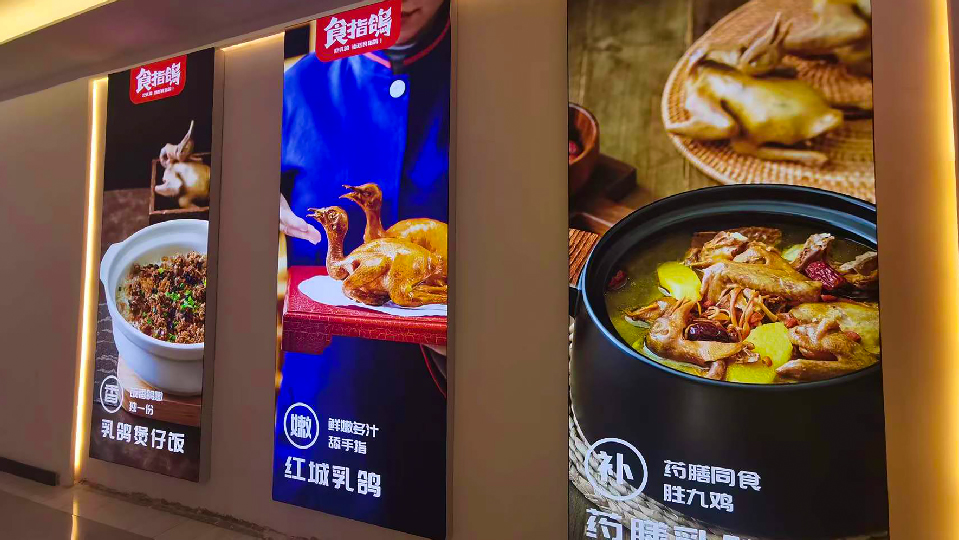 食指鴿公眾號(hào)源文件-03.jpg
